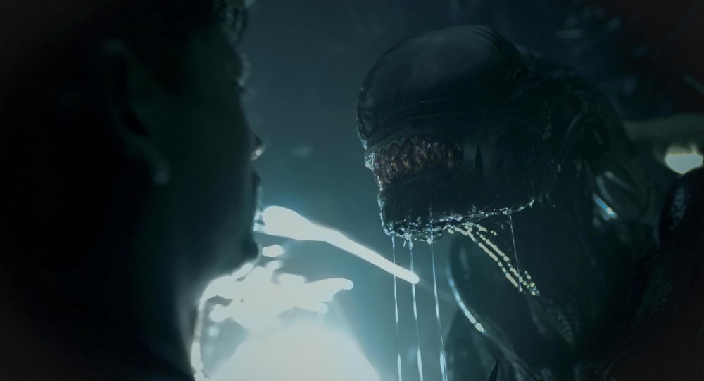 Xenomorph